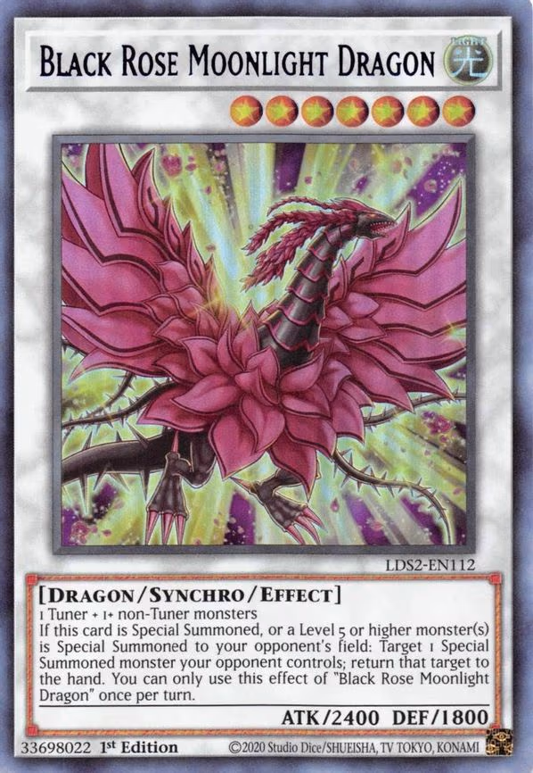 Black Rose Moonlight Dragon (Blue)