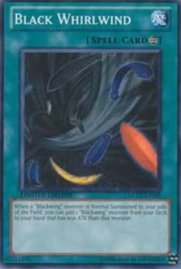 Black Whirlwind