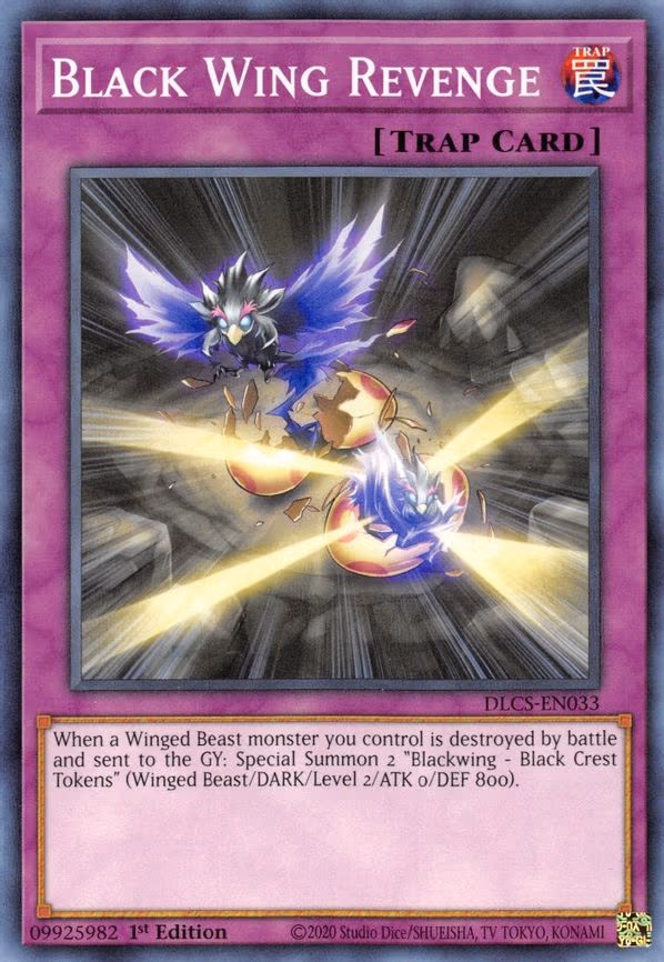 Black Wing Revenge