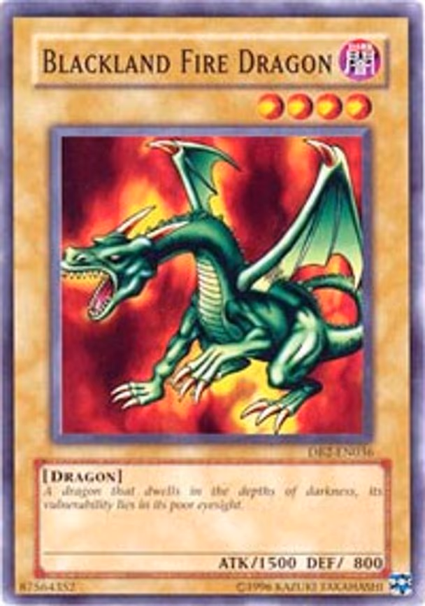Blackland Fire Dragon
