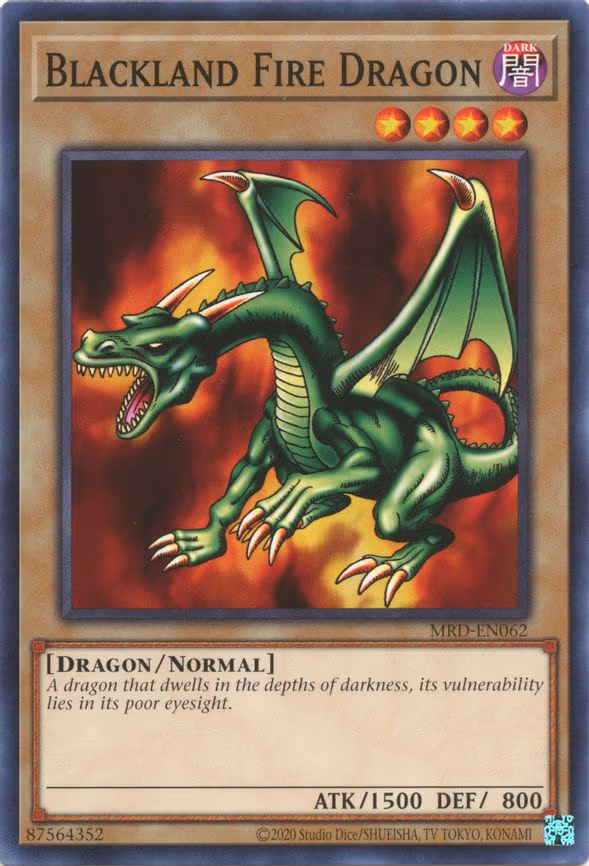 Blackland Fire Dragon