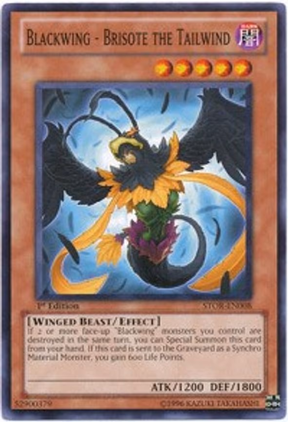Blackwing - Brisote the Tailwind