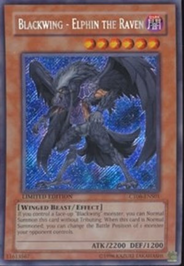 Blackwing - Elphin the Raven