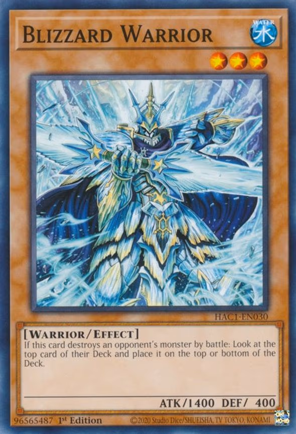 Blizzard Warrior