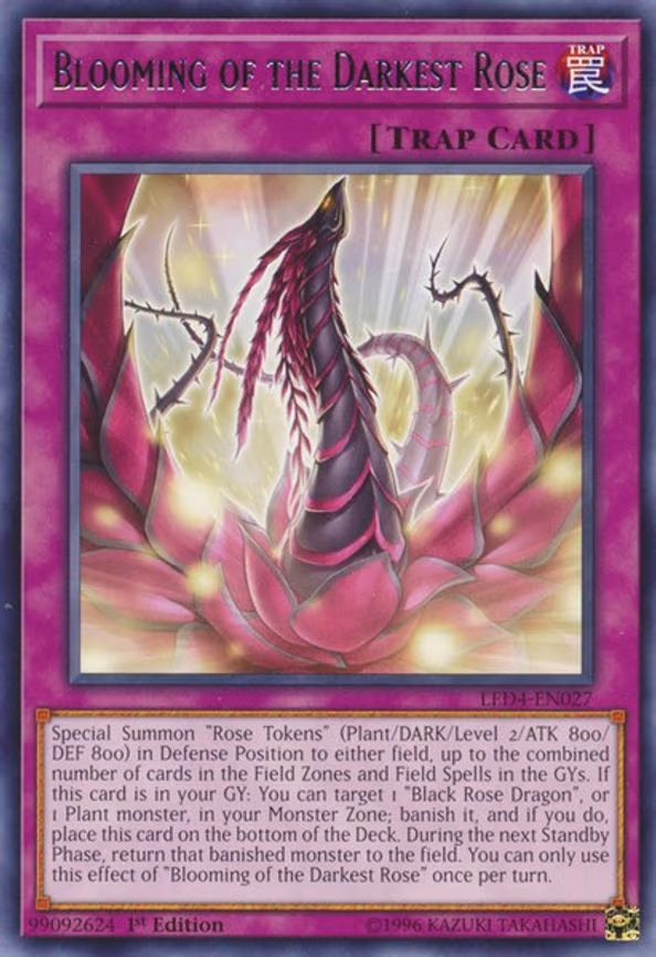 Blooming of the Darkest Rose