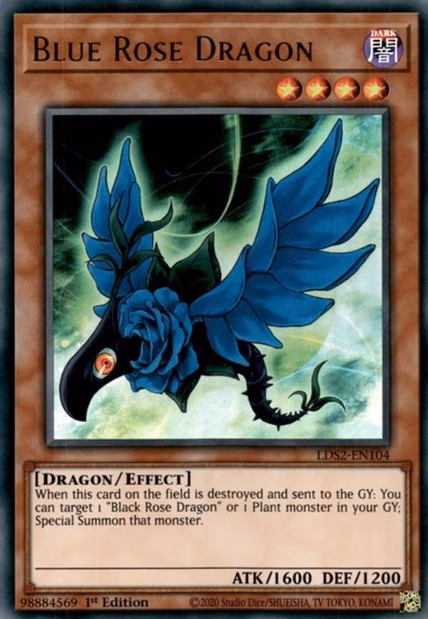 Blue Rose Dragon