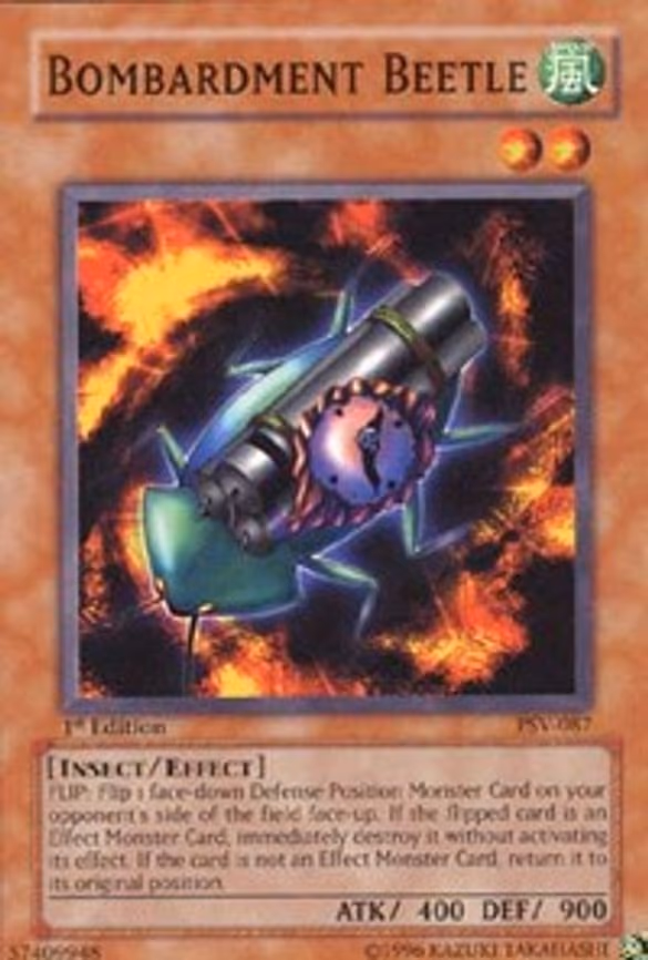 Bombardment Beetle