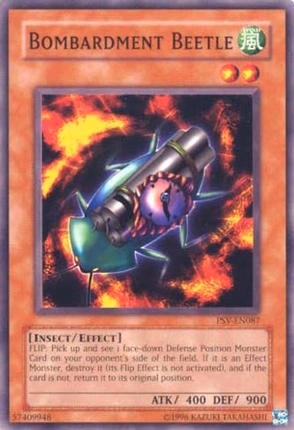 Bombardment Beetle