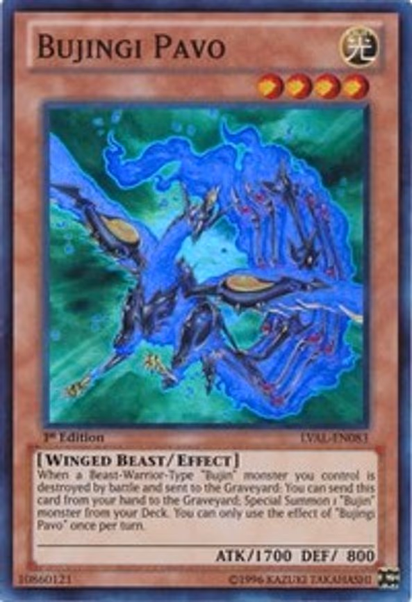 Bujingi Pavo