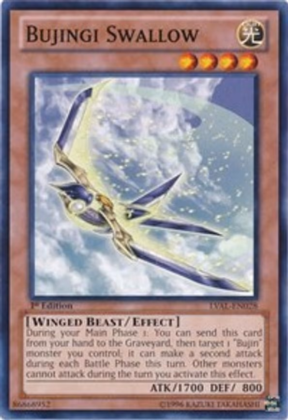 Bujingi Swallow
