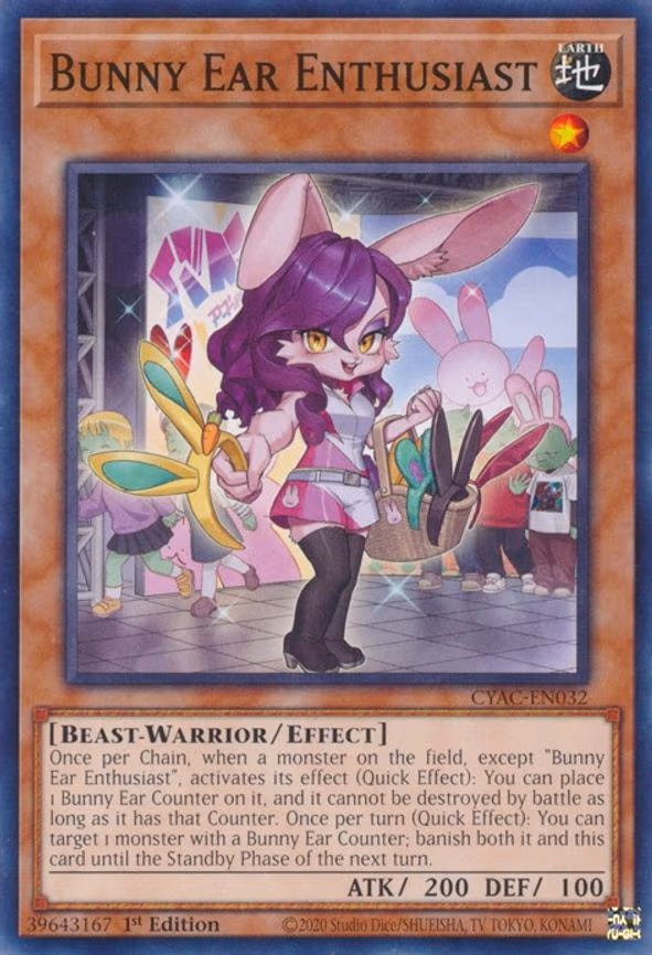 Bunny Ear Enthusiast
