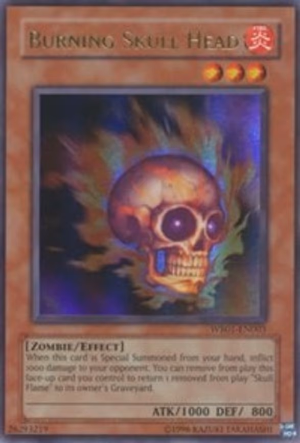 Burning Skull Head