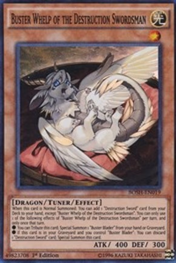 Buster Whelp of the Destruction Swordsman