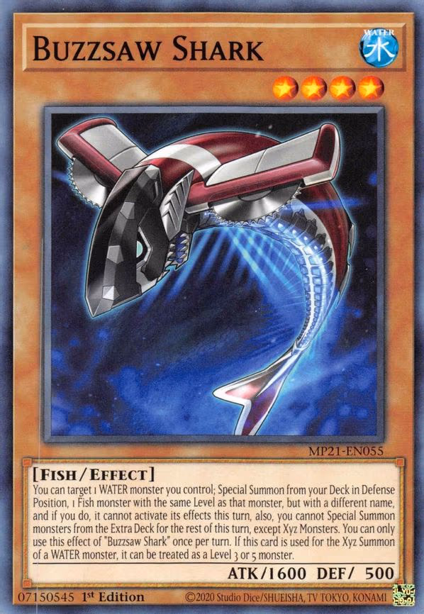 Buzzsaw Shark