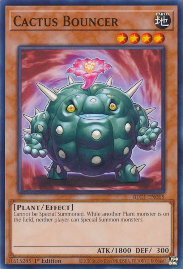 Cactus Bouncer