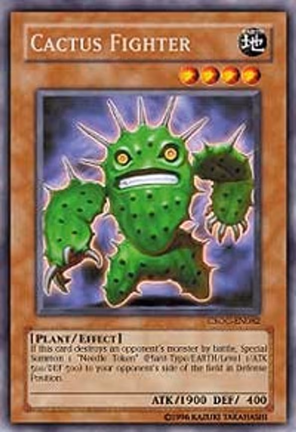 Cactus Fighter