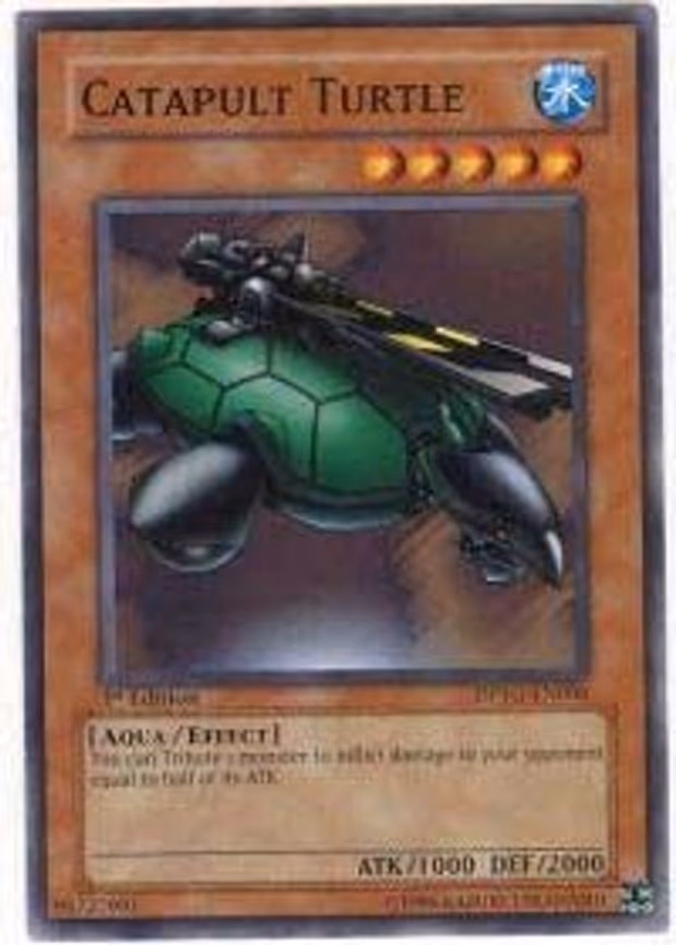 Catapult Turtle