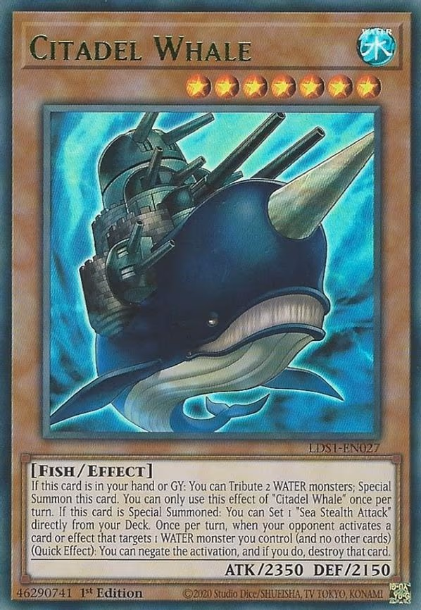 Citadel Whale (Green)