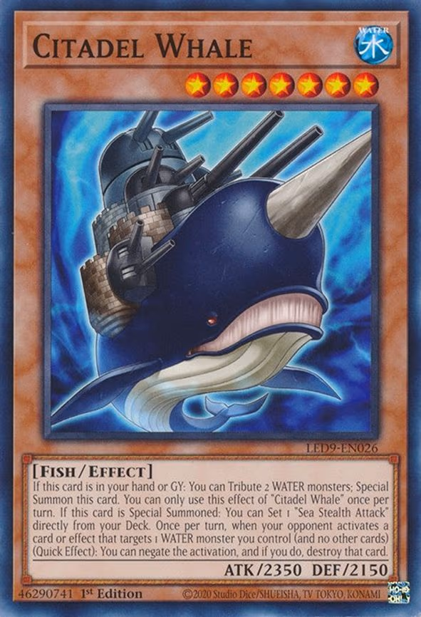 Citadel Whale
