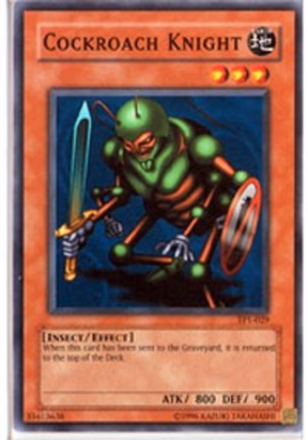 Cockroach Knight