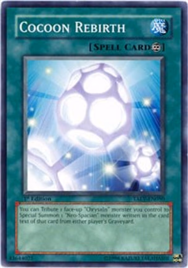 Cocoon Rebirth