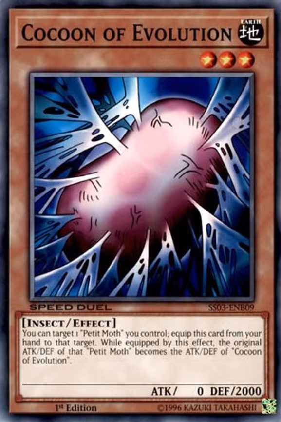 Cocoon of Evolution