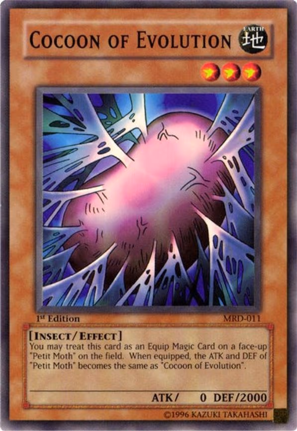 Cocoon of Evolution