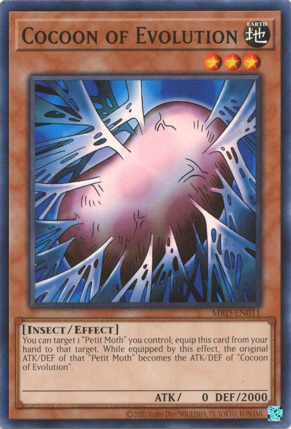 Cocoon of Evolution