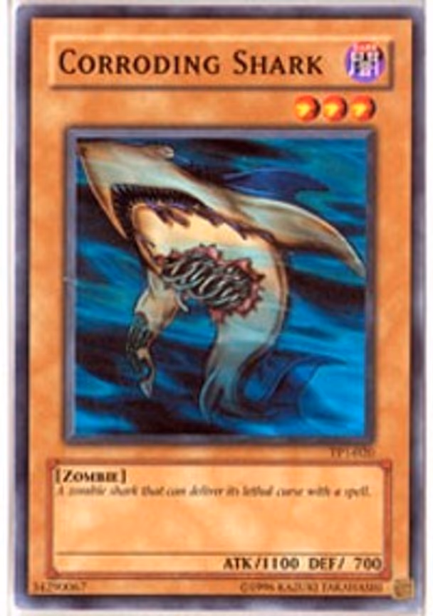 Corroding Shark