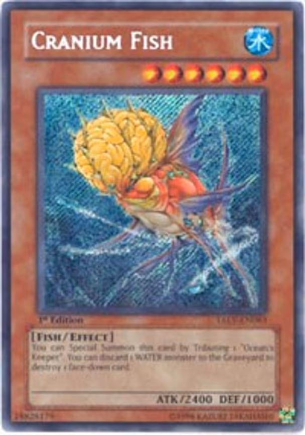 Cranium Fish