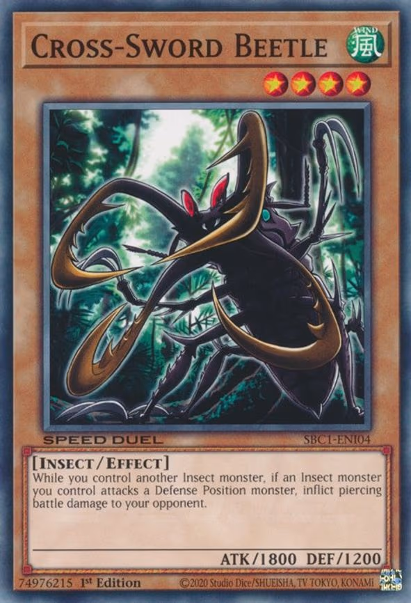 Cross-Sword Beetle