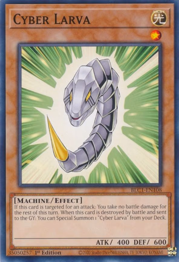 Cyber Larva