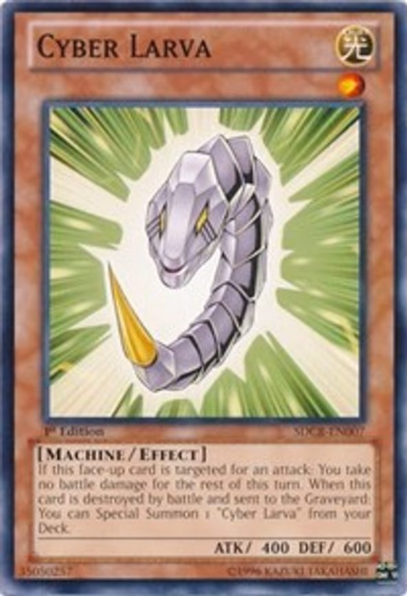 Cyber Larva