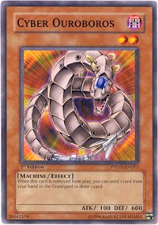 Cyber Ouroboros