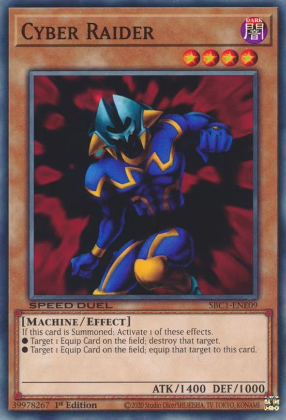 Cyber Raider