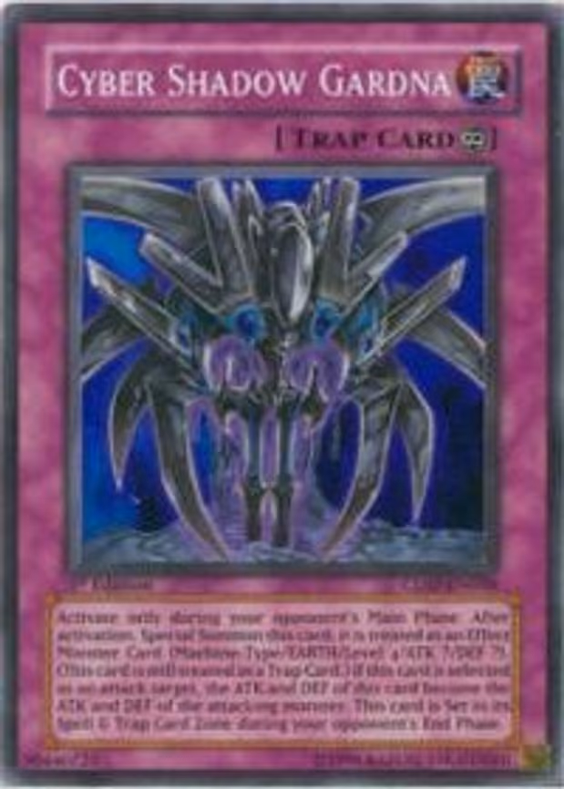 Cyber Shadow Gardna