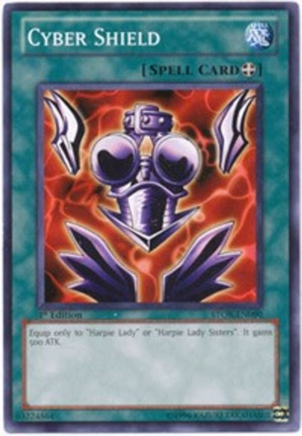 Cyber Shield