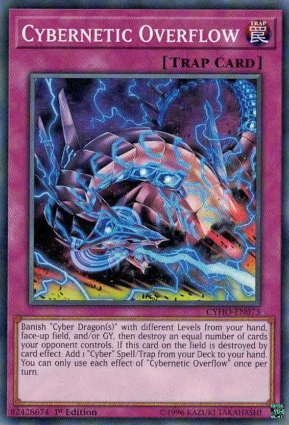 Cybernetic Overflow