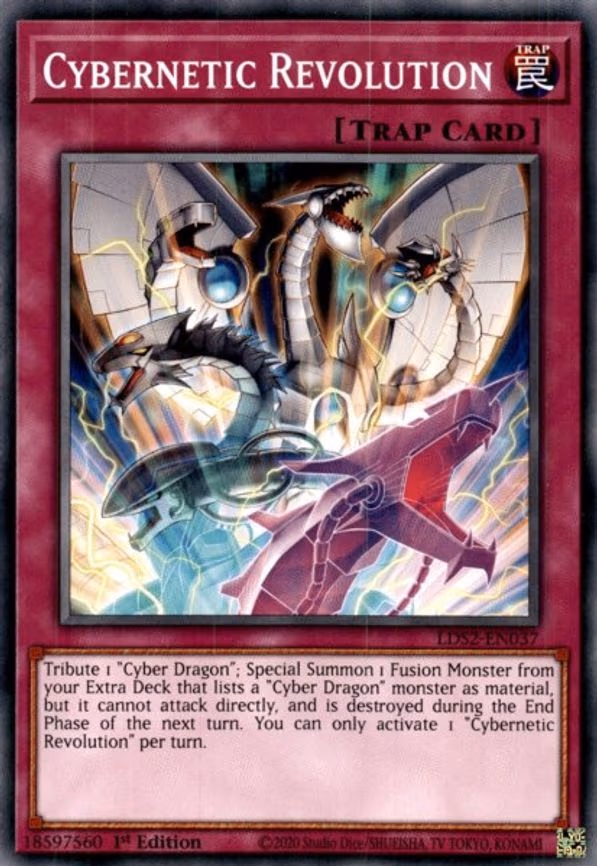Cybernetic Revolution
