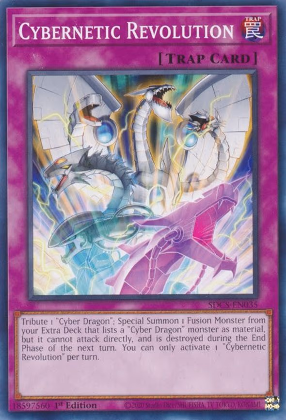 Cybernetic Revolution
