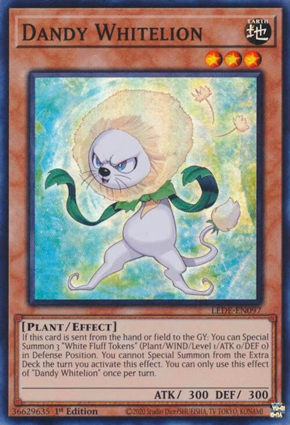 Dandy Whitelion