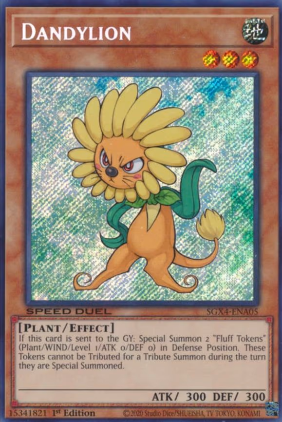 Dandylion