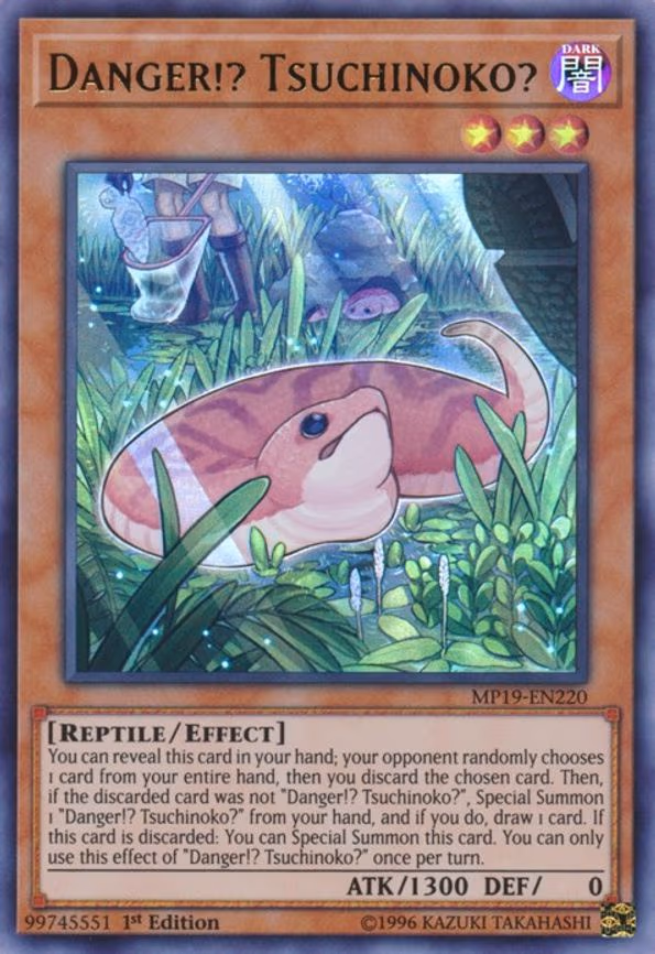 Danger!? Tsuchinoko?