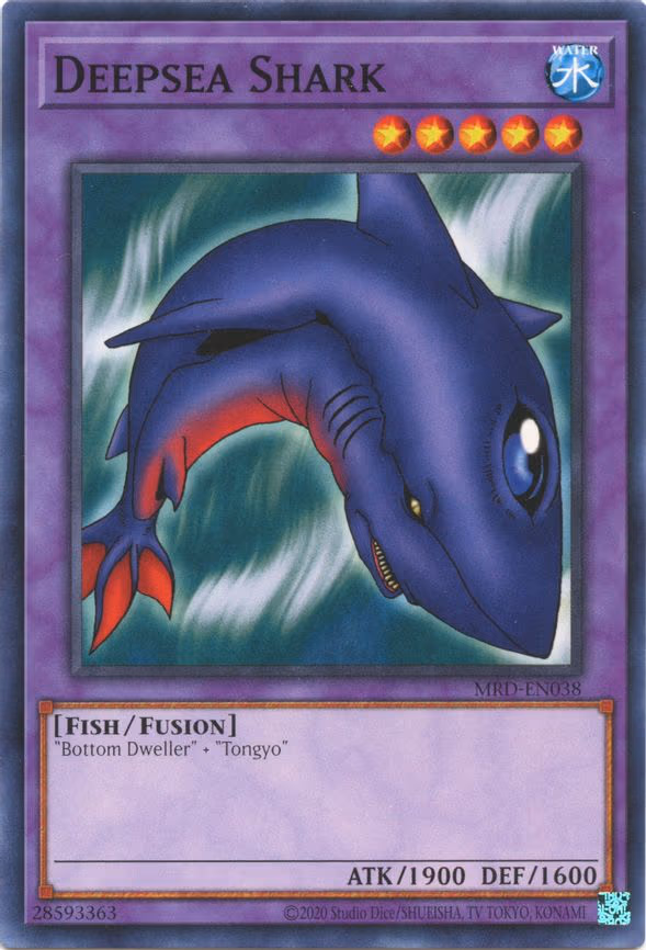 Deepsea Shark