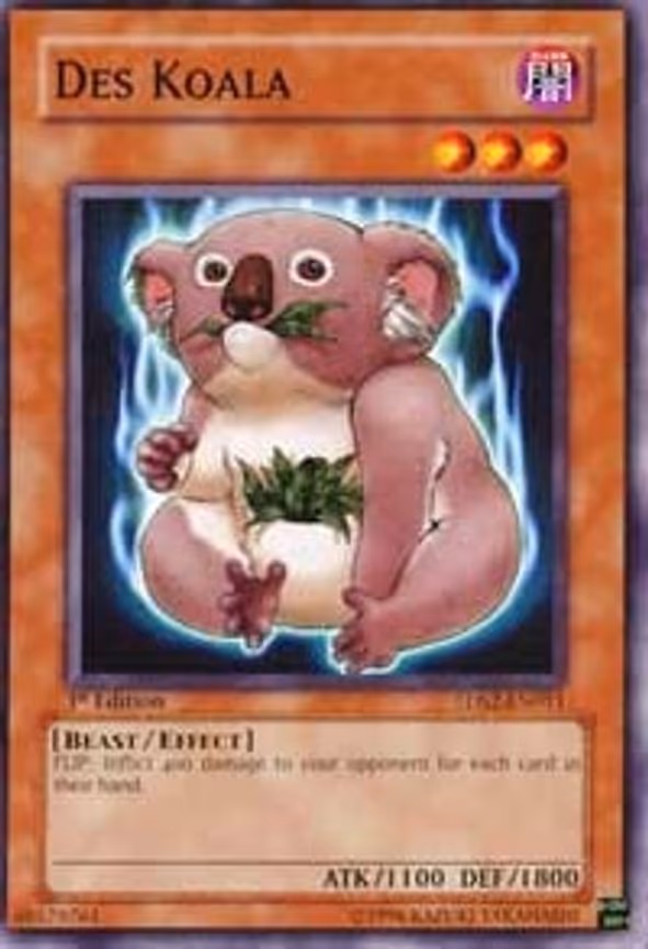 Des Koala