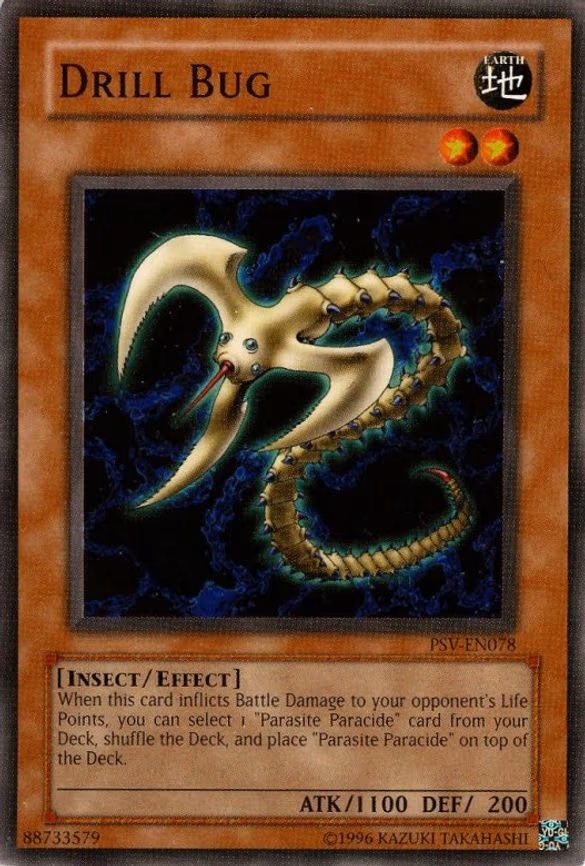Drill Bug
