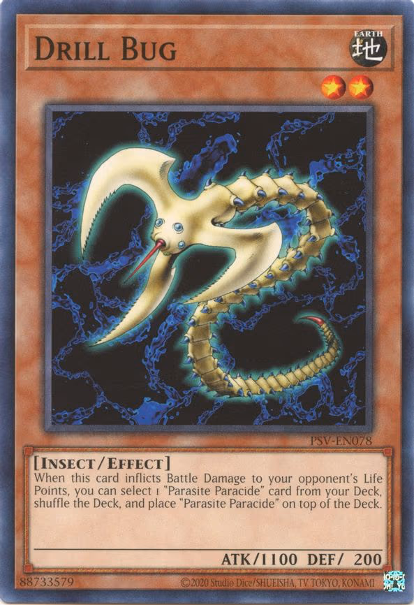 Drill Bug