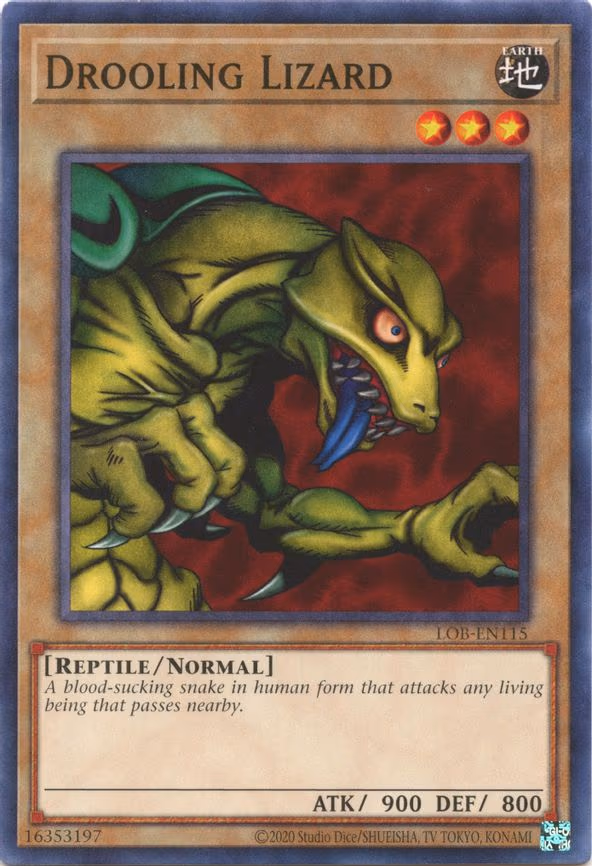 Drooling Lizard