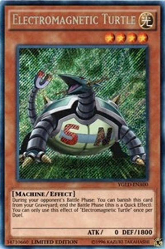 Electromagnetic Turtle