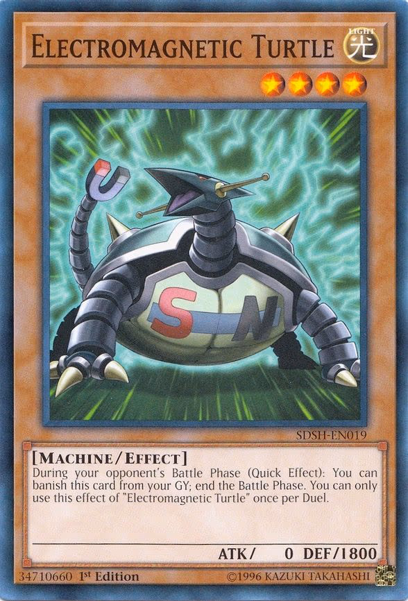 Electromagnetic Turtle